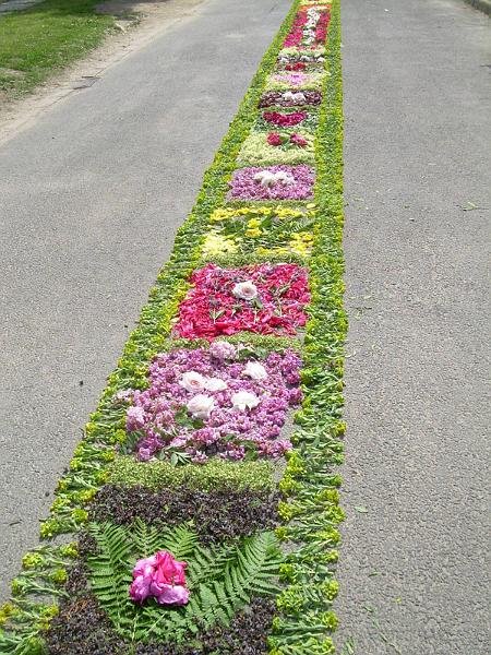 DSCN4213.JPG