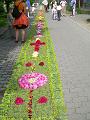 DSCN4193